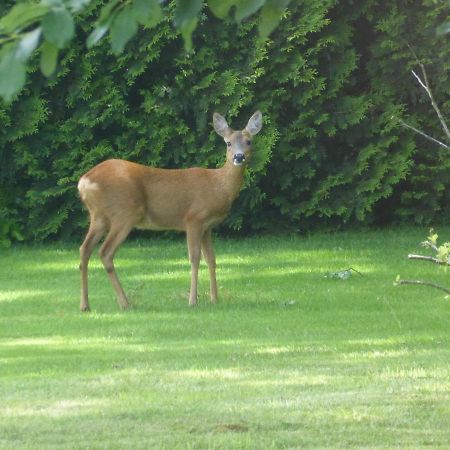 Vakantie Op De Veluwe Villa Lunteren Eksteriør bilde