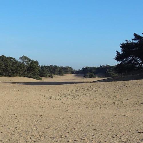 Vakantie Op De Veluwe Villa Lunteren Eksteriør bilde