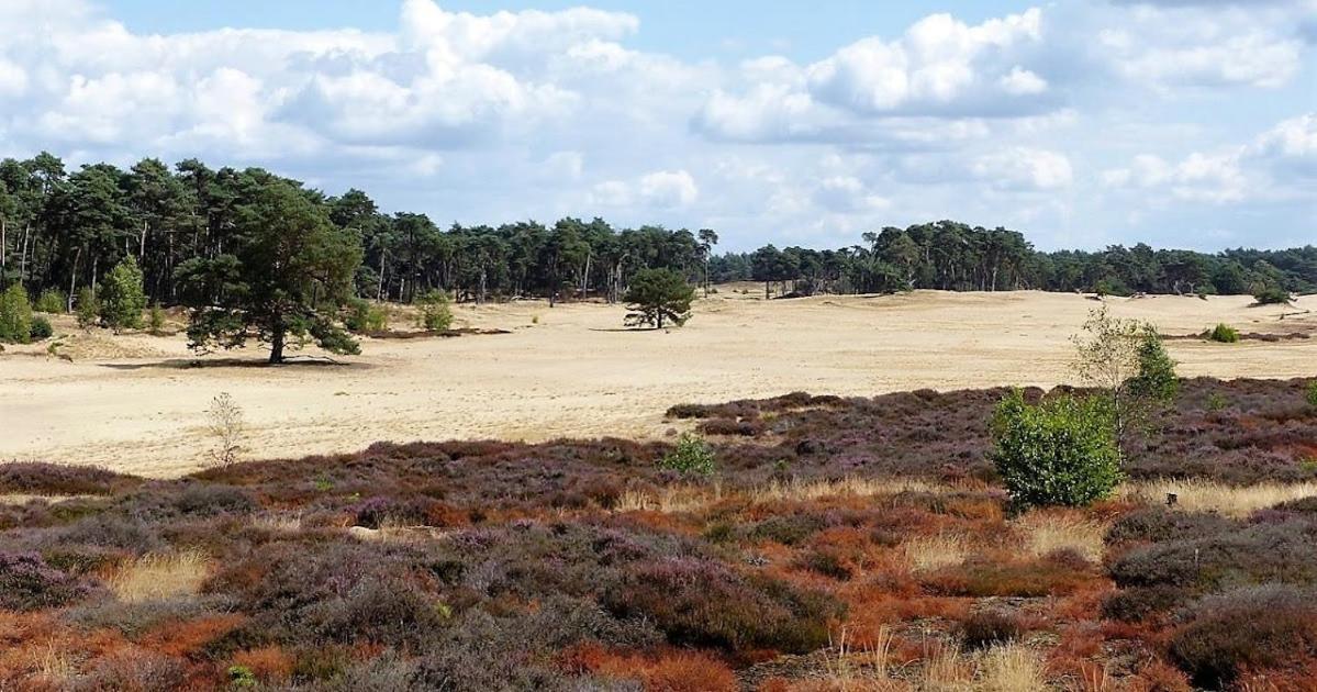 Vakantie Op De Veluwe Villa Lunteren Eksteriør bilde